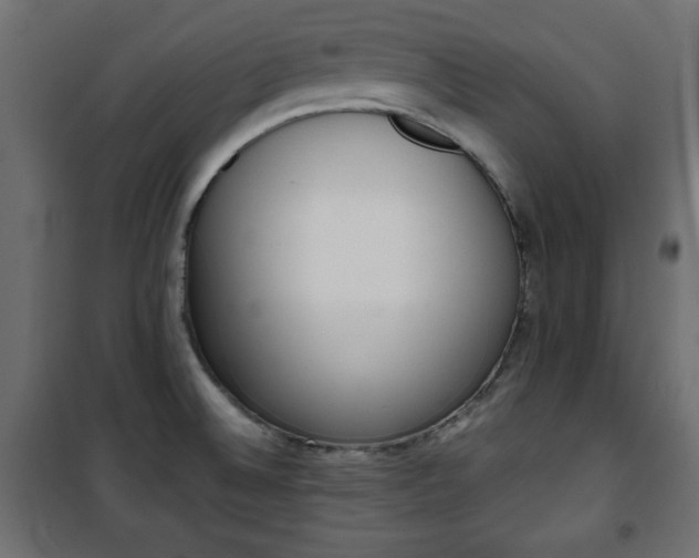 X0000101431524200807141229