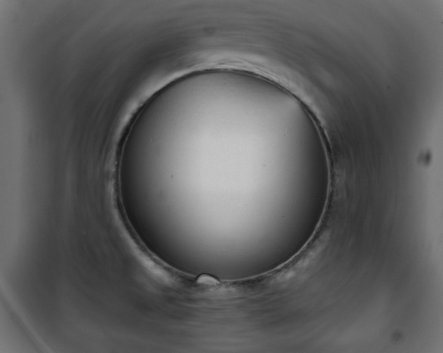 X0000101431525200807141229