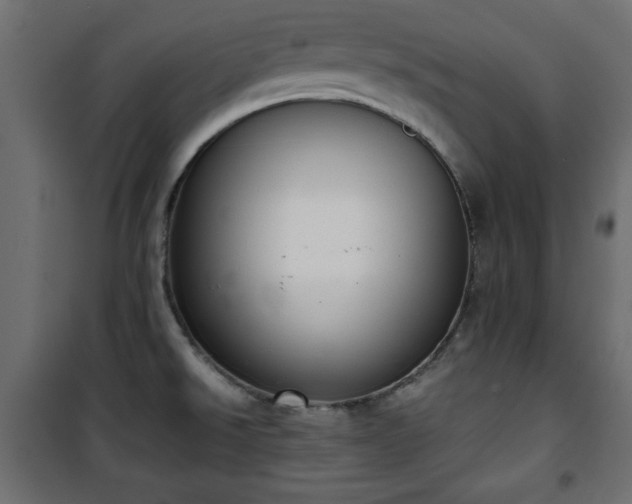 X0000101431526200807141229