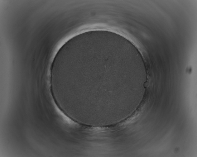 X0000101431527200807141229