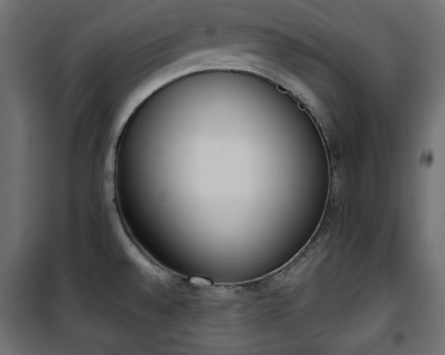 X0000101431528200807141229