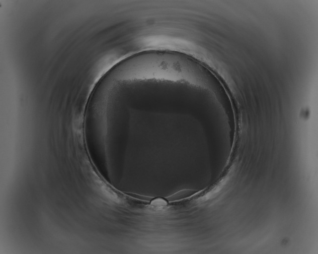 X0000101431529200807141229