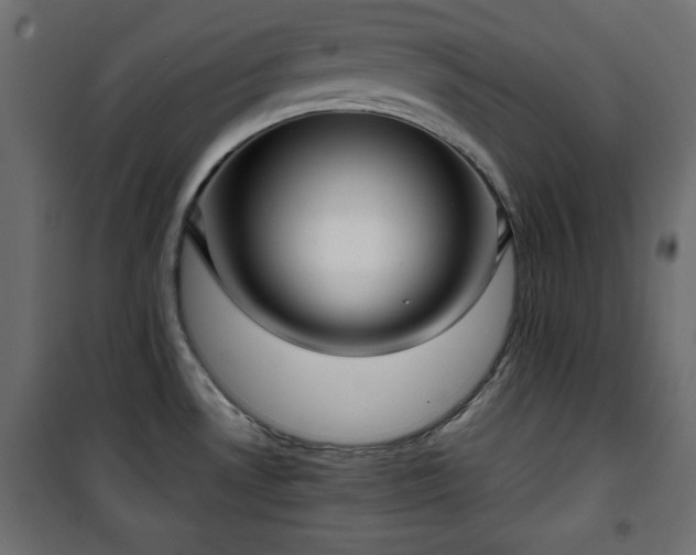 X0000101431530200807141229