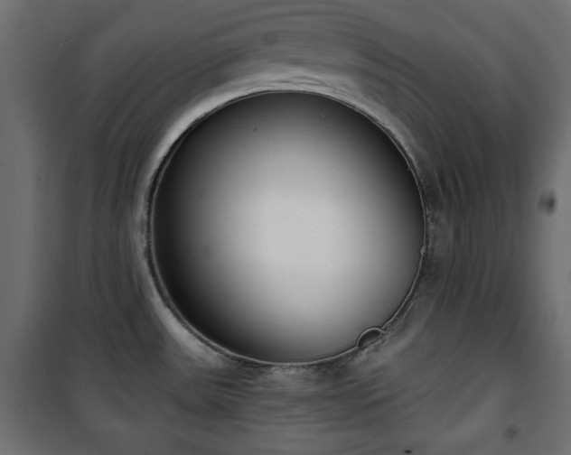 X0000101431531200807141229