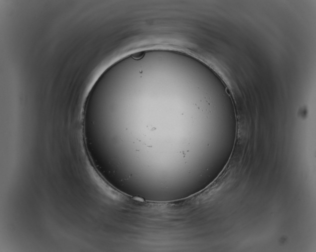 X0000101431532200807141229