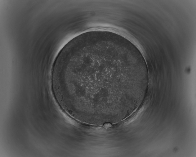 X0000101431533200807141229