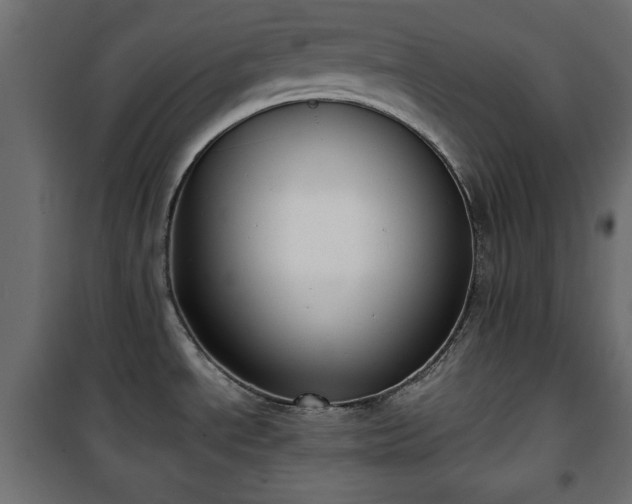 X0000101431534200807141229