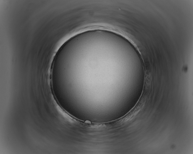 X0000101431535200807141229