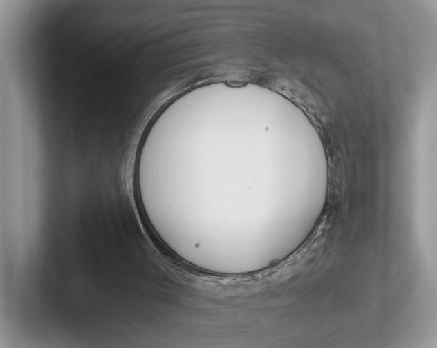 X0000101430003200807211200