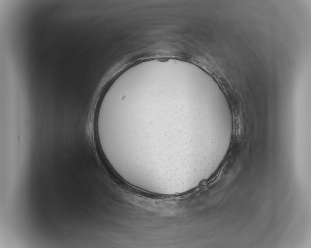 X0000101430004200807211200