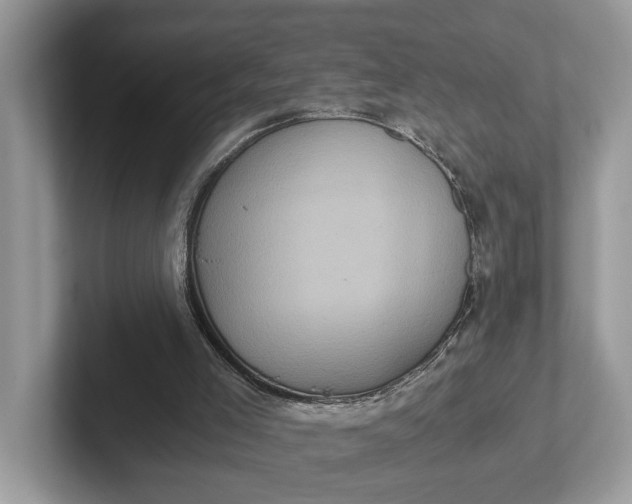 X0000101430005200807211200