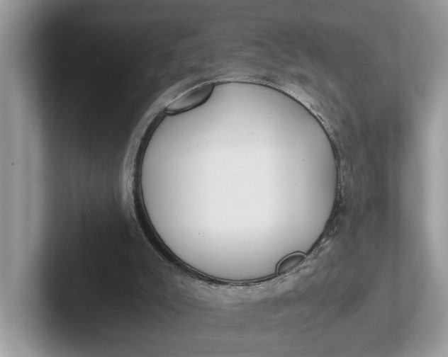 X0000101430007200807211200