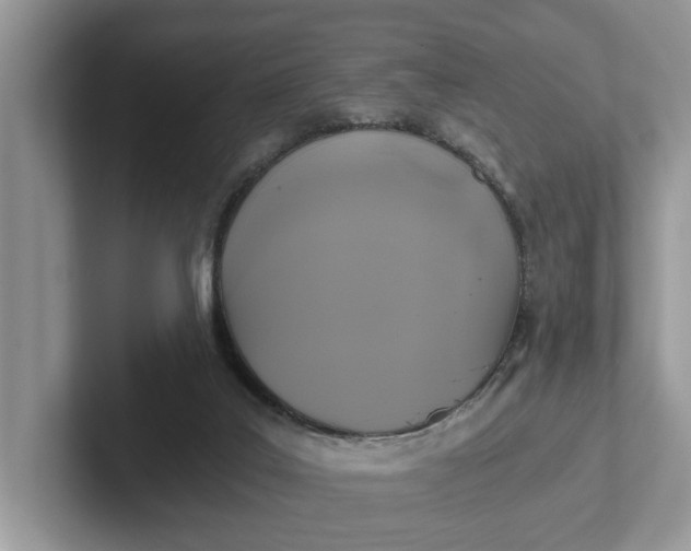 X0000101430019200807211200