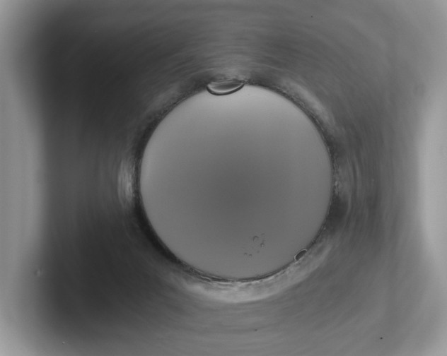 X0000101430023200807211200