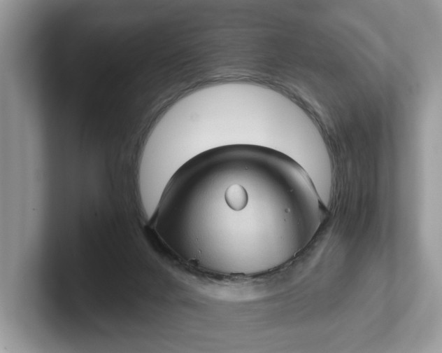 X0000101430024200807211200