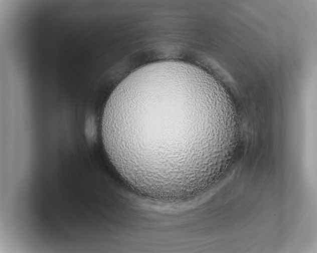 X0000101430026200807211200