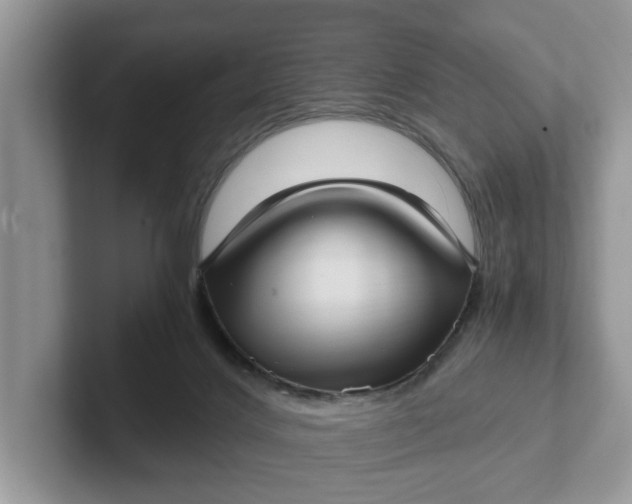 X0000101430028200807211200