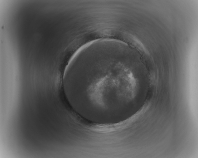 X0000101430029200807211200