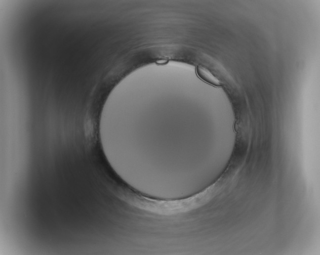 X0000101430031200807211200