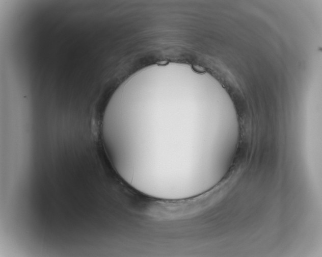 X0000101430033200807211200