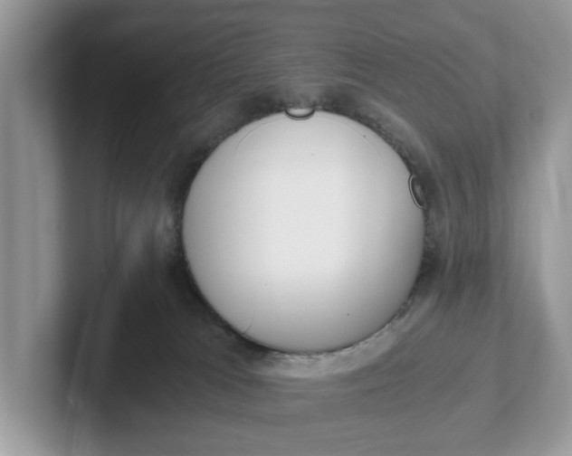 X0000101430037200807211159