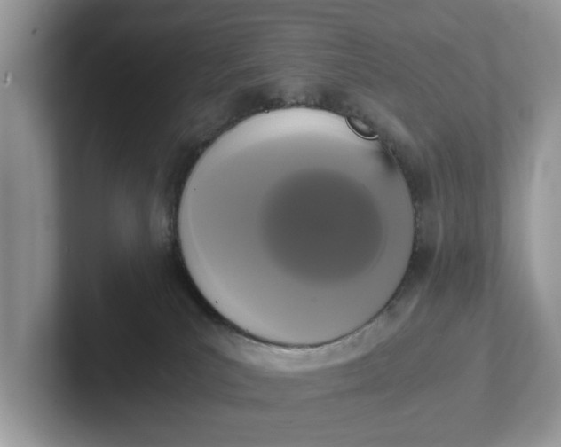 X0000101430039200807211159