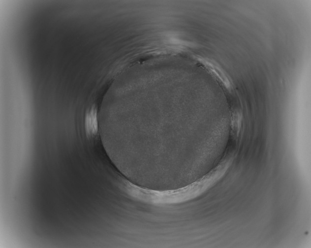 X0000101430046200807211159