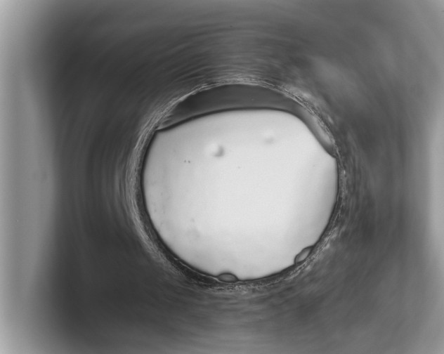 X0000101430049200807211159