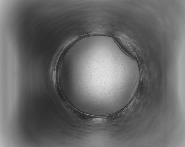 X0000101430050200807211159