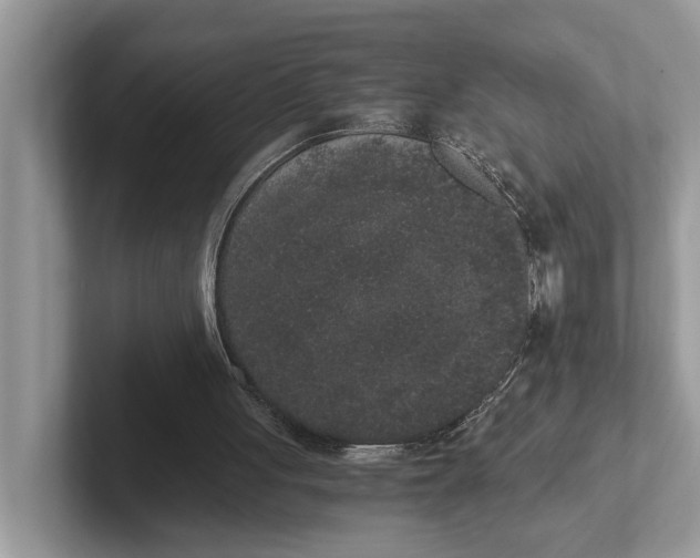 X0000101430051200807211159