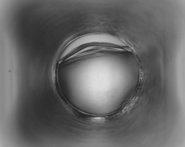 X0000101430053200807211159