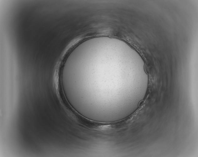 X0000101430054200807211159