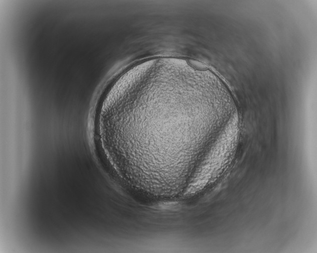 X0000101430055200807211159