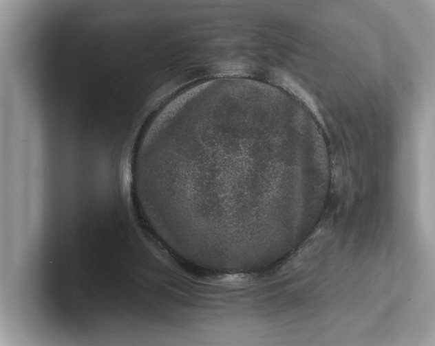 X0000101430059200807211159