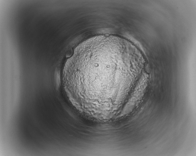 X0000101430061200807211159