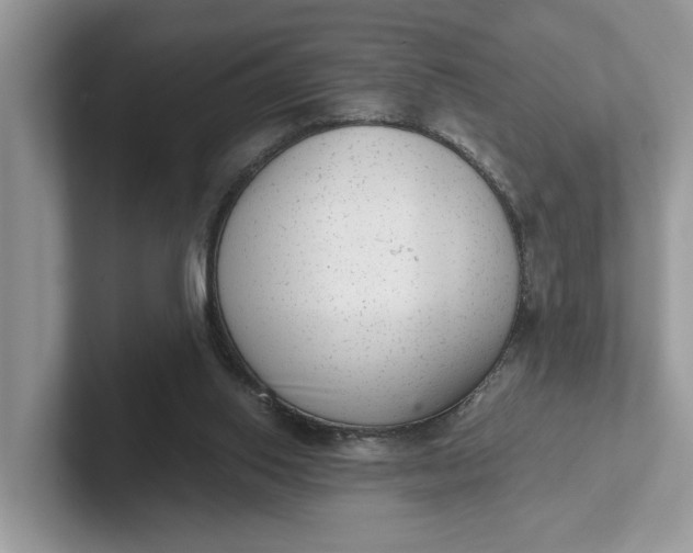 X0000101430062200807211159