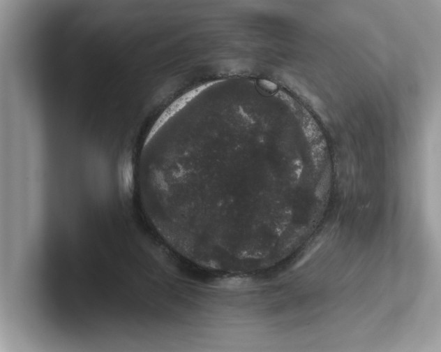 X0000101430067200807211159