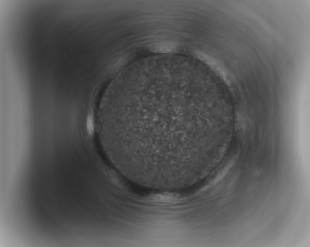 X0000101430069200807211159