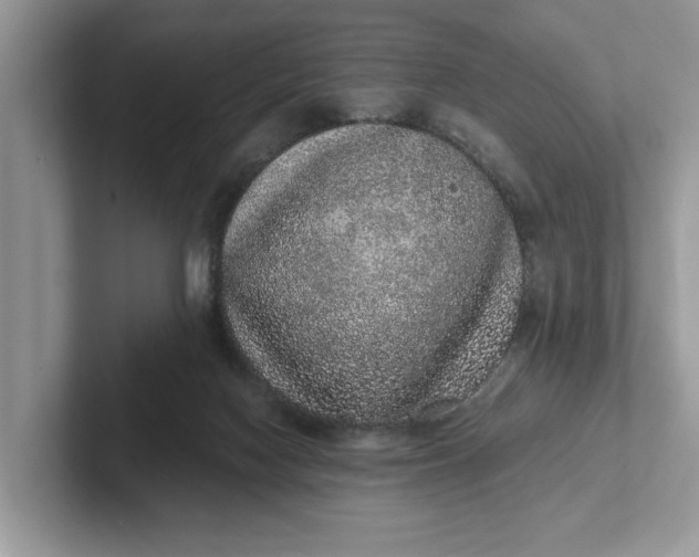 X0000101430074200807211159