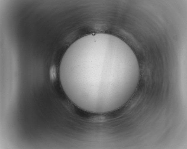 X0000101430075200807211159