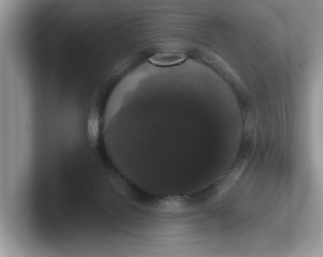 X0000101430076200807211159