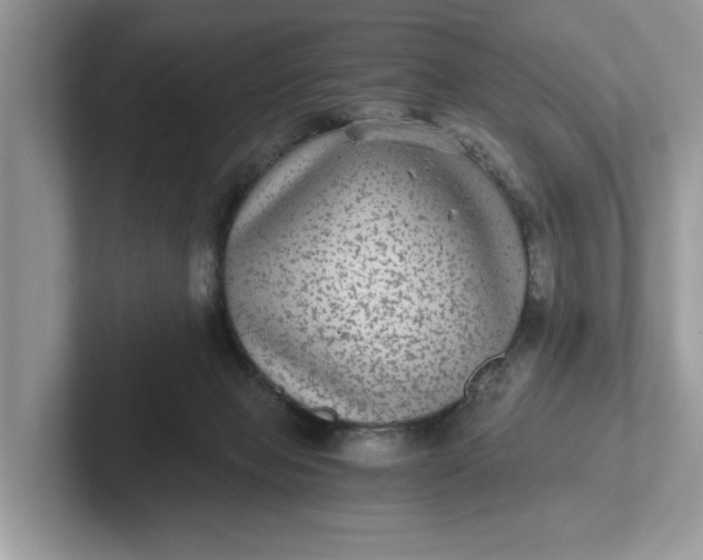 X0000101430077200807211159