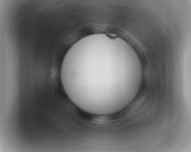 X0000101430079200807211159