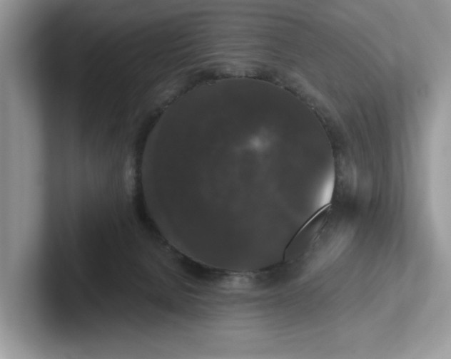 X0000101430080200807211159