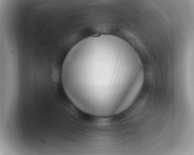 X0000101430081200807211159