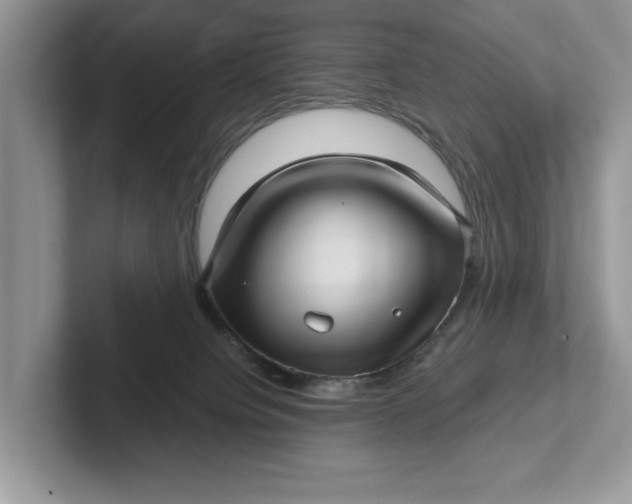 X0000101430084200807211159