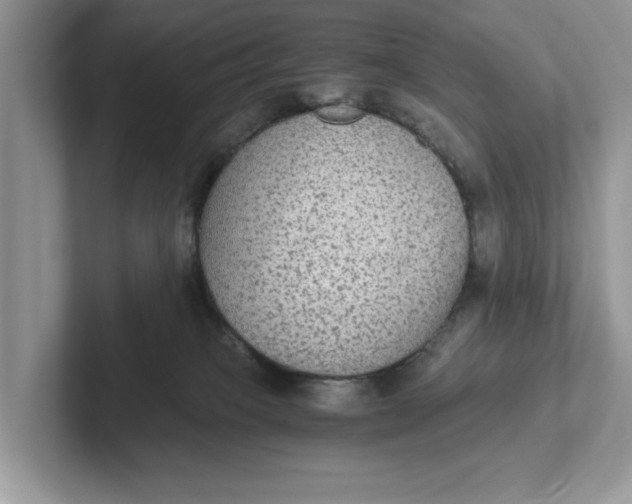 X0000101430085200807211159