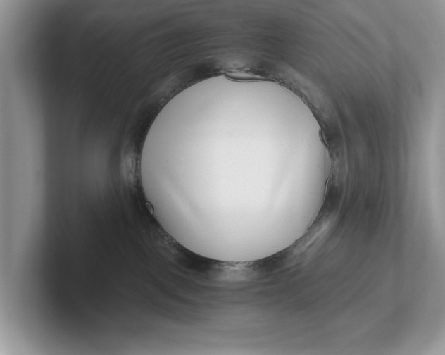 X0000101430093200807211159