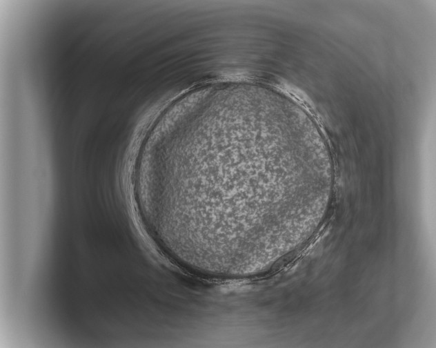 X0000101430097200807211159