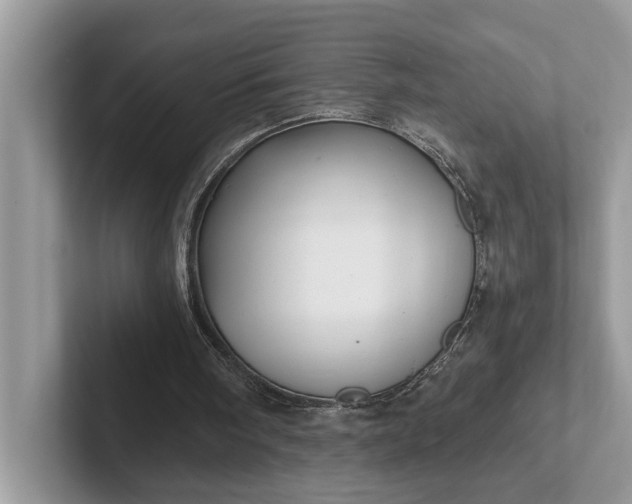 X0000101430098200807211159